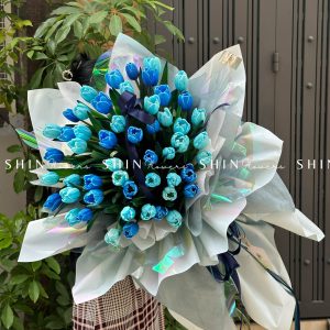 Hoa Bó 30 Tulip Nhuộm Xanh Blue S231