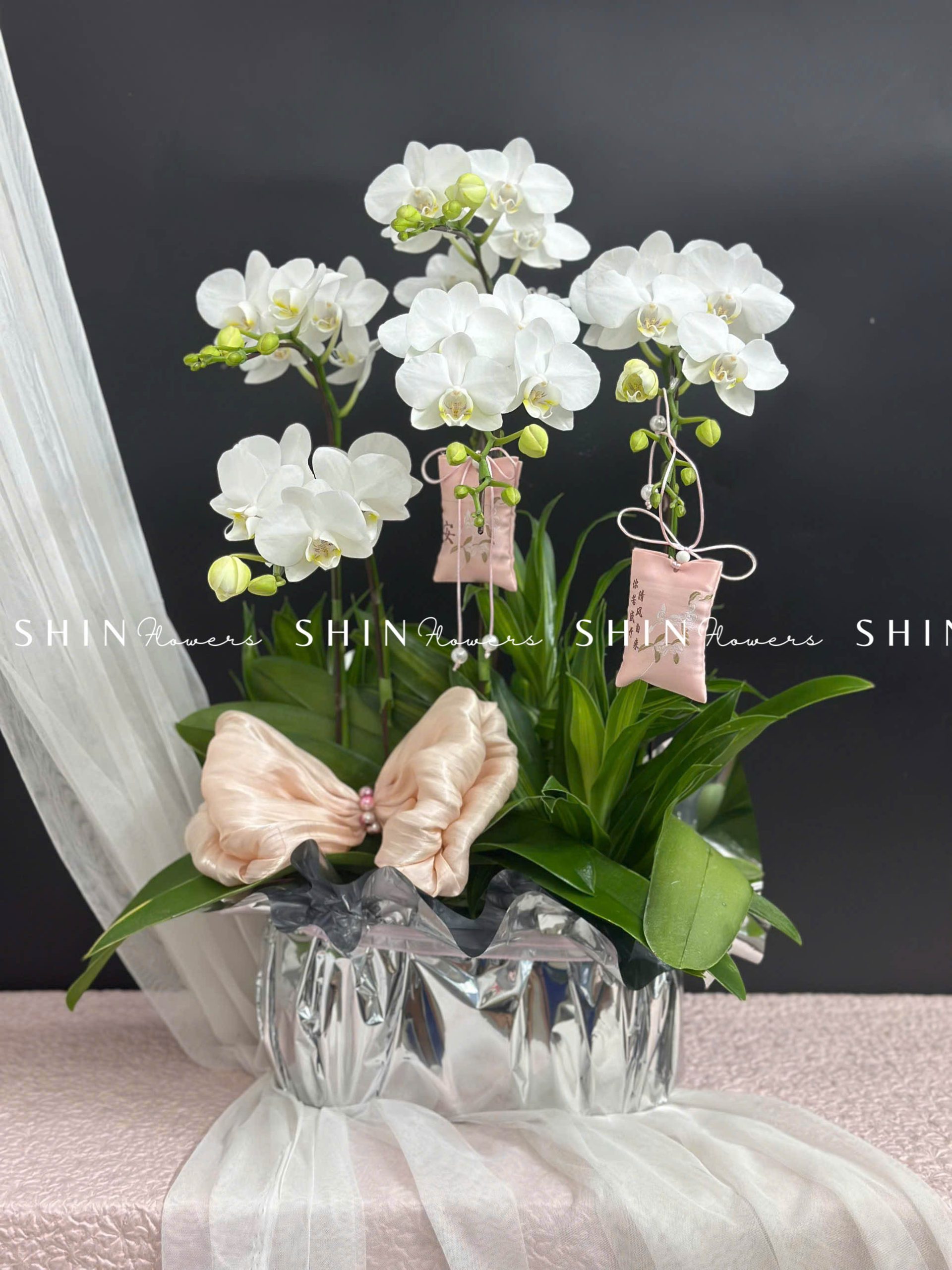 Chậu Lan Hồ Điệp Mini 5 cành - Xuân Ngọc Ngà tet16