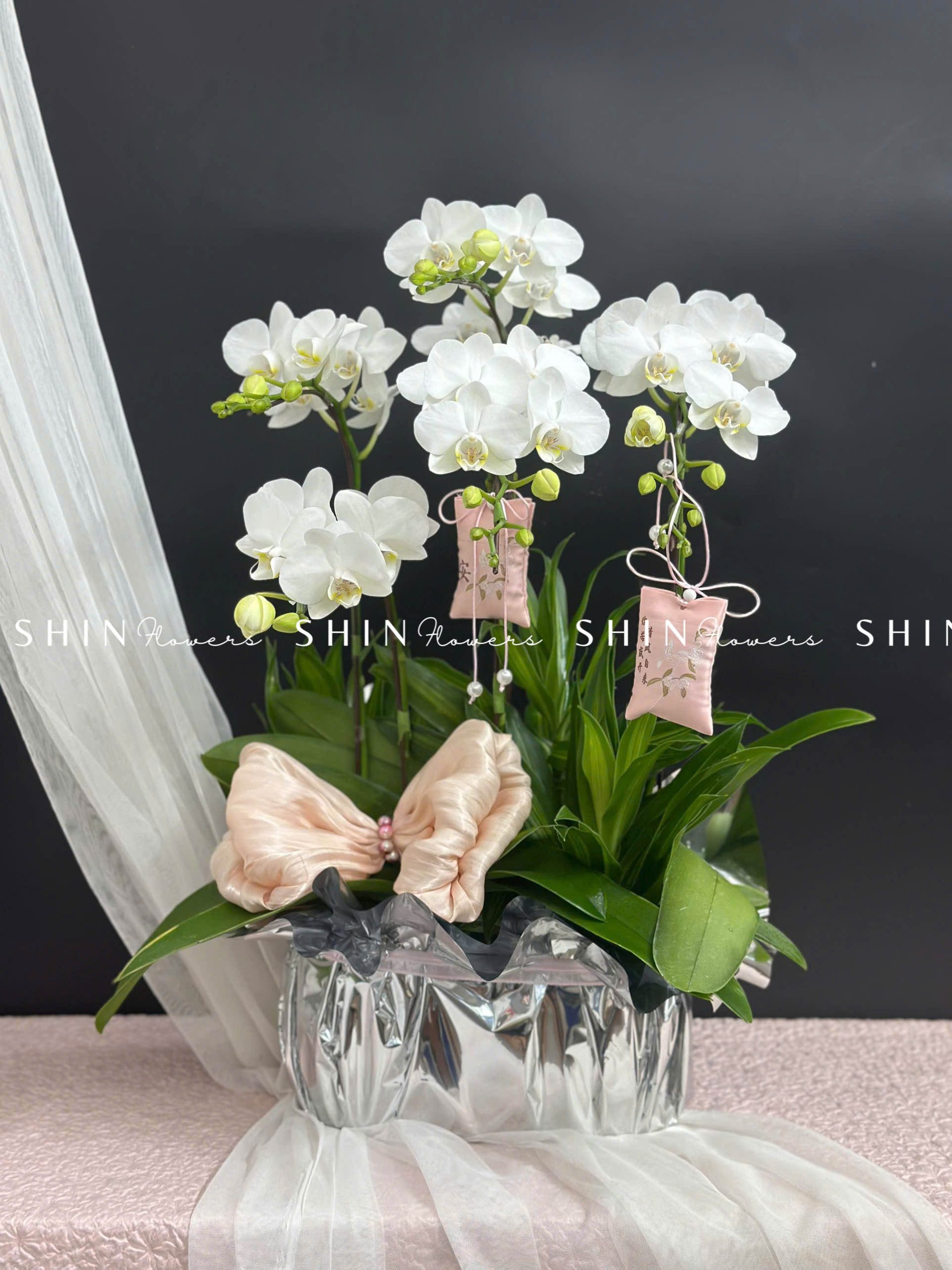 Chậu Lan Hồ Điệp Mini 5 cành - Xuân Ngọc Ngà tet16