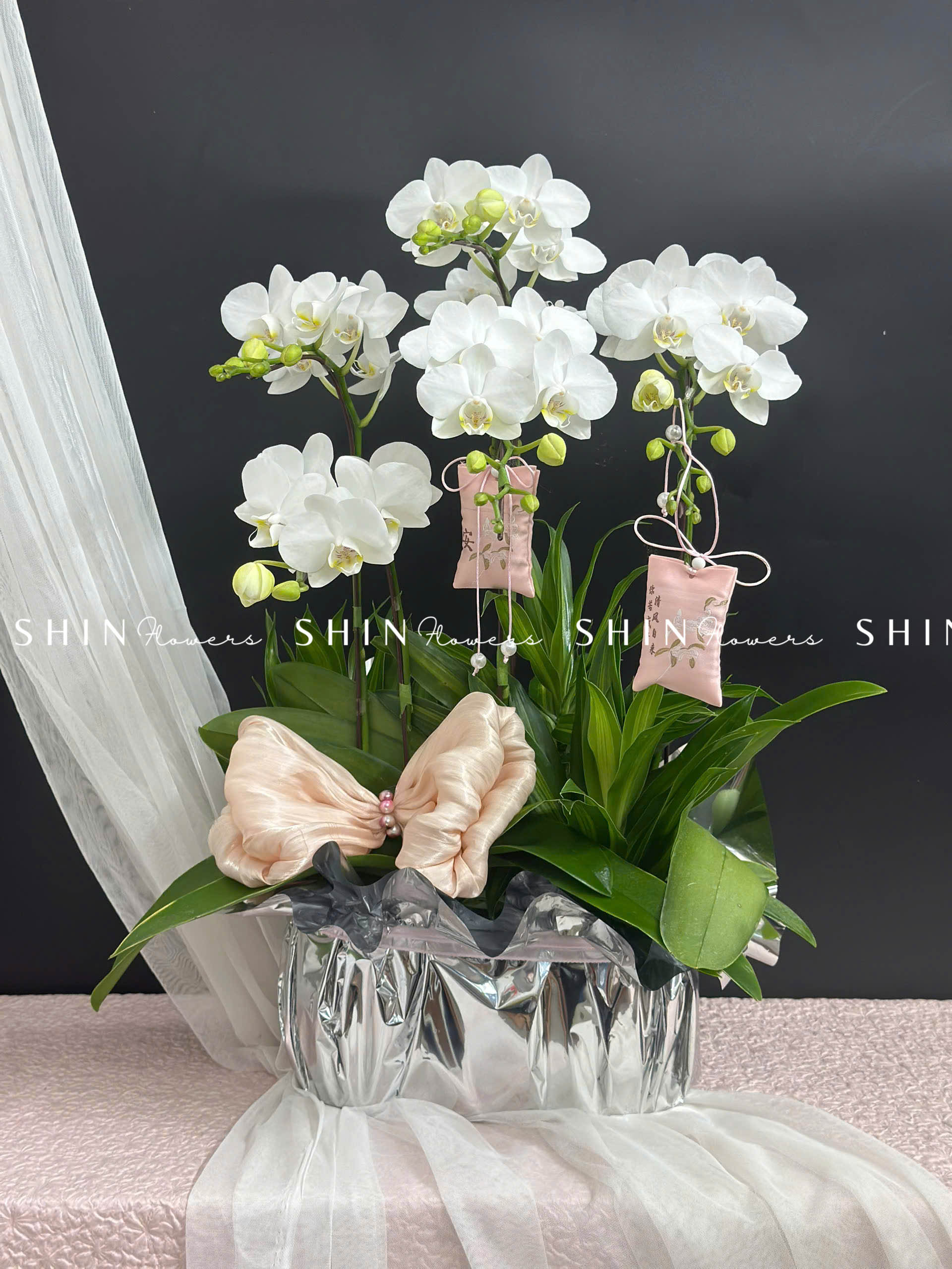 Chậu Lan Hồ Điệp Mini 5 cành - Xuân Ngọc Ngà tet16