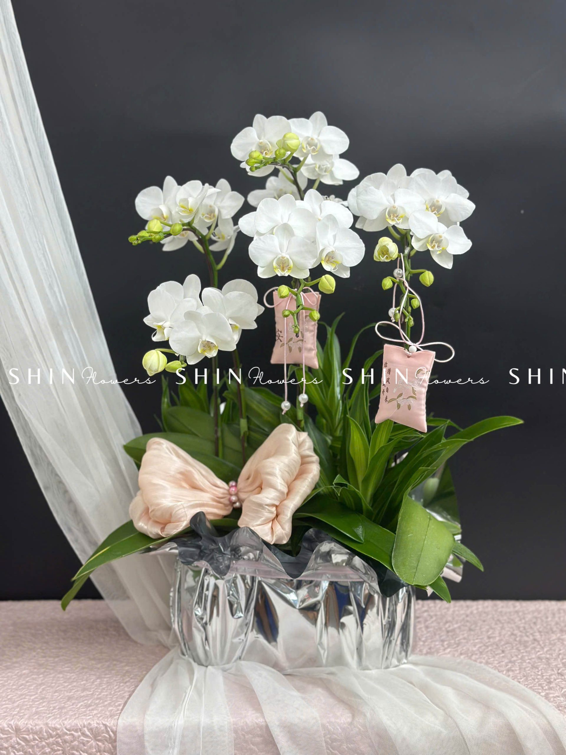 Chậu Lan Hồ Điệp Mini 5 cành - Xuân Ngọc Ngà tet16