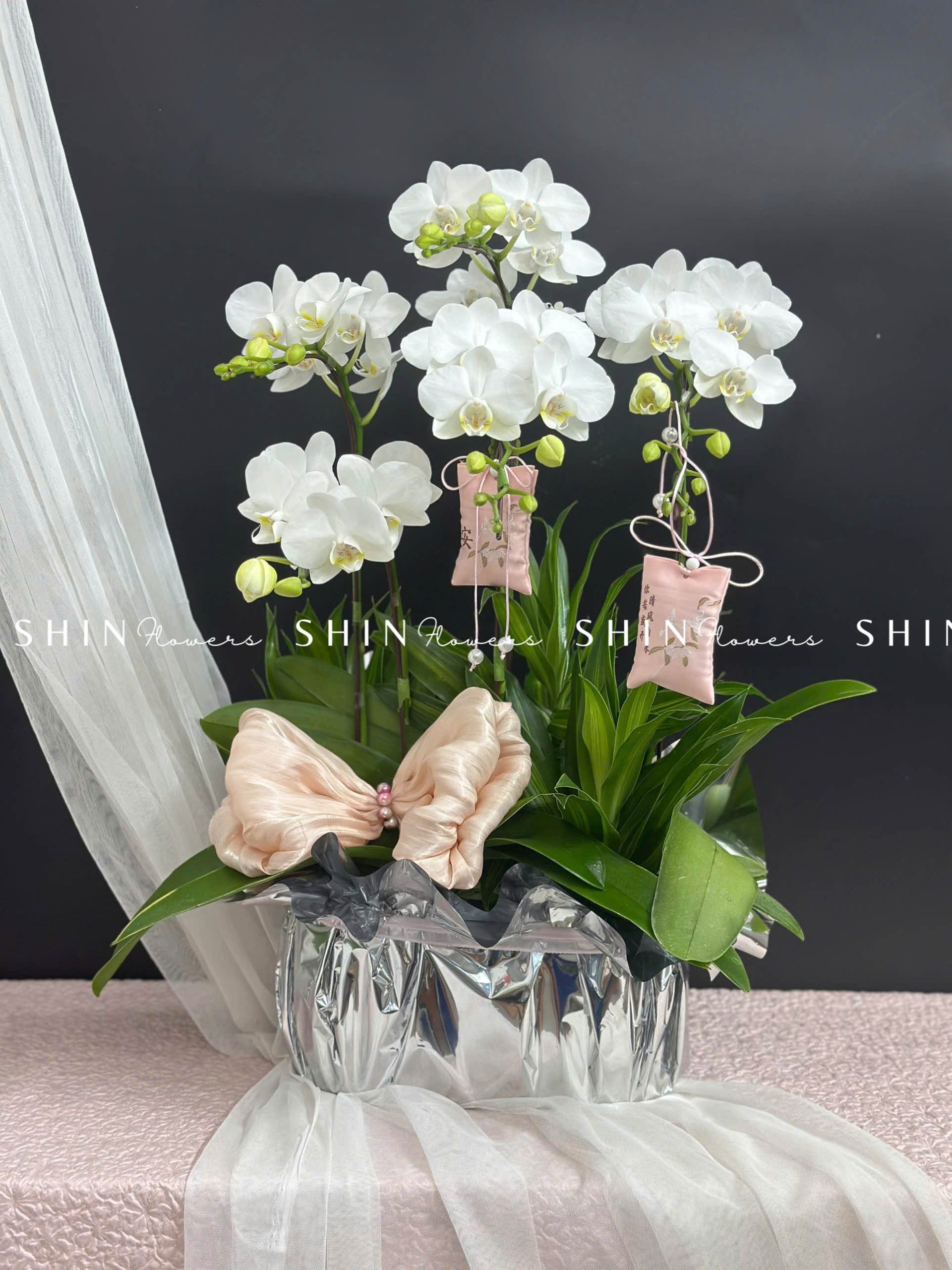 Chậu Lan Hồ Điệp Mini 5 cành - Xuân Ngọc Ngà tet16