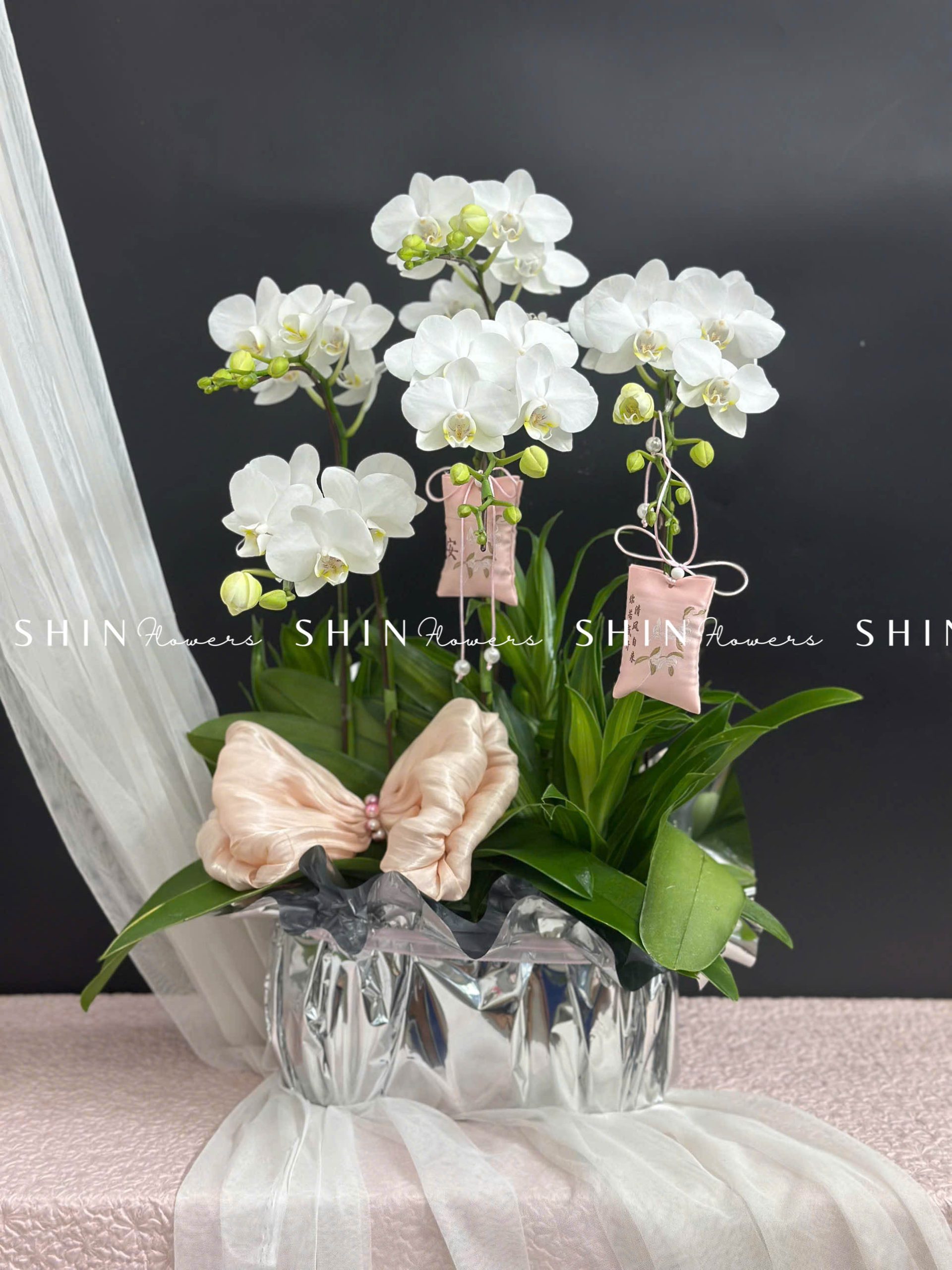 Chậu Lan Hồ Điệp Mini 5 cành - Xuân Ngọc Ngà tet16