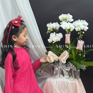 Chậu Lan Hồ Điệp Mini 5 cành - Xuân Ngọc Ngà tet16