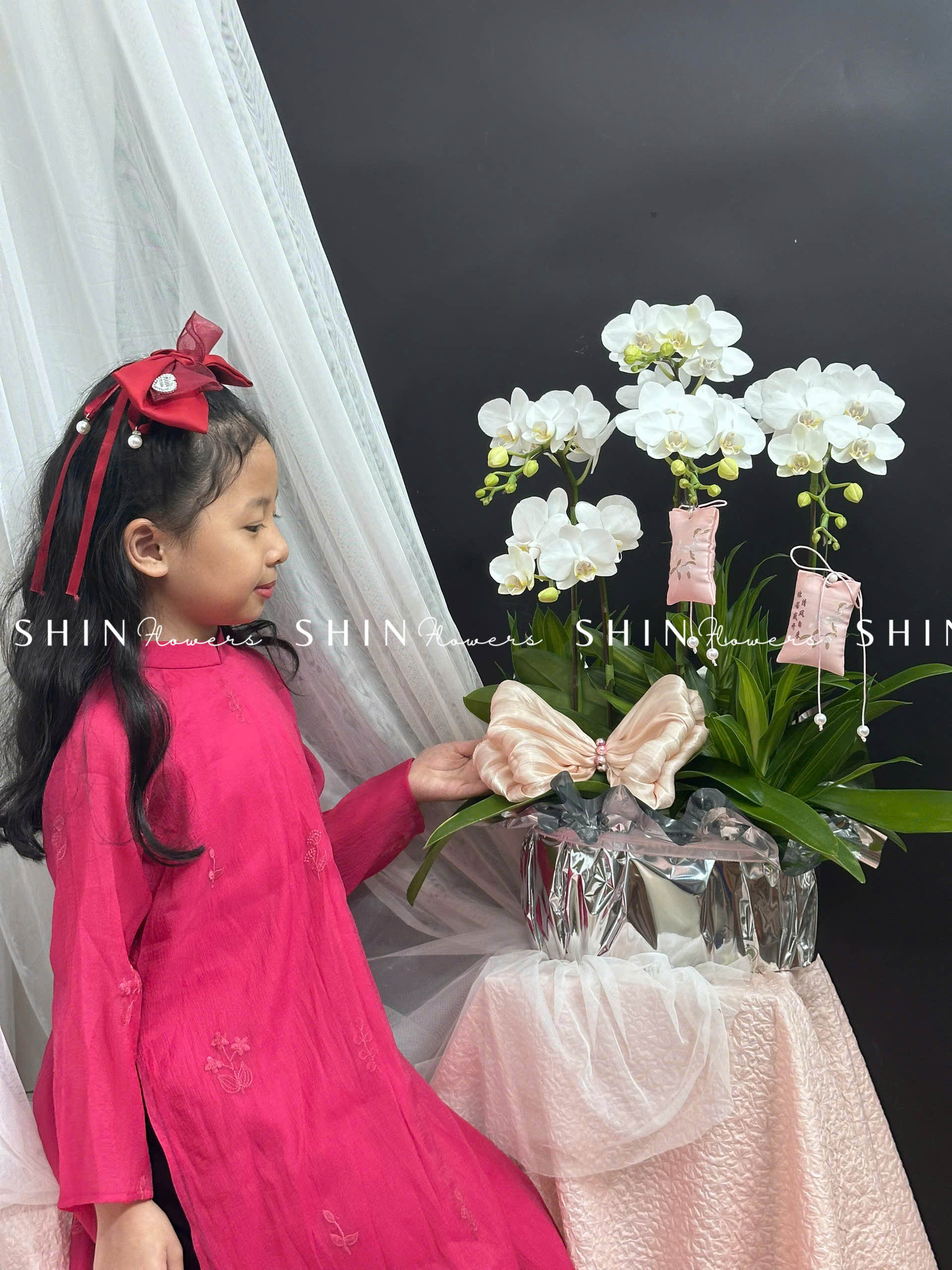 Chậu Lan Hồ Điệp Mini 5 cành - Xuân Ngọc Ngà tet16