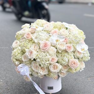Hộp hoa Cẩm Tú Cầu Trắng Khổng Lồ H094