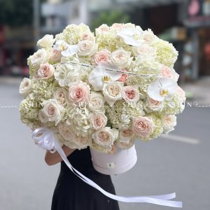 Hộp hoa Cẩm Tú Cầu Trắng Khổng Lồ H094