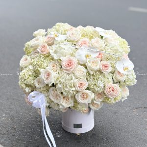 Hộp hoa Cẩm Tú Cầu Trắng Khổng Lồ H094