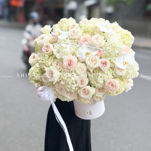 Hộp hoa Cẩm Tú Cầu Trắng Khổng Lồ H094
