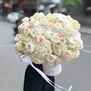 Hộp hoa Cẩm Tú Cầu Trắng Khổng Lồ H094
