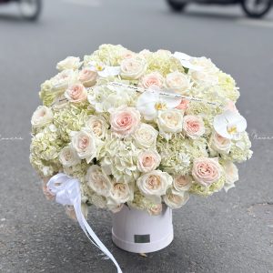 Hộp hoa Cẩm Tú Cầu Trắng Khổng Lồ H094