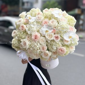 Hộp hoa Cẩm Tú Cầu Trắng Khổng Lồ H094