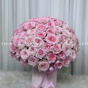 Hộp Hoa 99 bông hồng Ohara H092