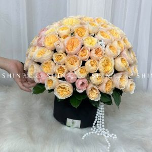 Hộp Hoa 99 bông hồng Juliet H091