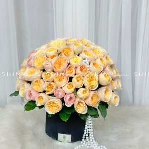 Hộp Hoa 99 bông hồng Juliet H091