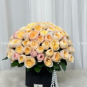 Hộp Hoa 99 bông hồng Juliet H091