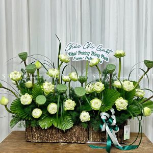 Hộp Hoa Sen Trắng chúc mừng H090