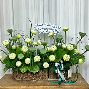 Hộp Hoa Sen Trắng chúc mừng H090