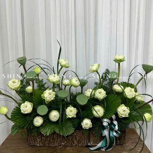 Hộp Hoa Sen Trắng chúc mừng H090