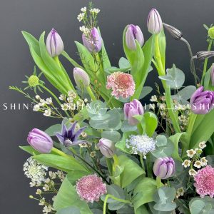 Hộp Hoa Tulip Tím Hà Lan H087