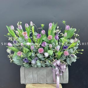 Hộp Hoa Tulip Tím Hà Lan H087