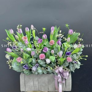 Hộp Hoa Tulip Tím Hà Lan H087
