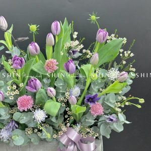 Hộp Hoa Tulip Tím Hà Lan H087
