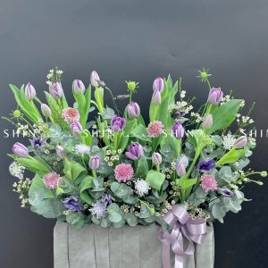Hộp Hoa Tulip Tím Hà Lan H087