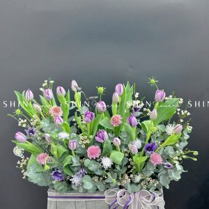 Hộp Hoa Tulip Tím Hà Lan H087