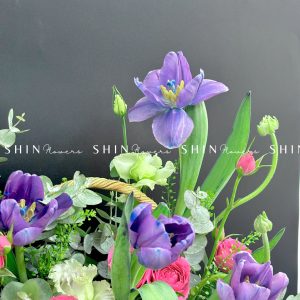 Giỏ Hoa Tulip Tím Hà Lan H086