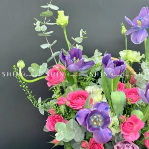 Giỏ Hoa Tulip Tím Hà Lan H086