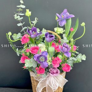 Giỏ Hoa Tulip Tím Hà Lan H086