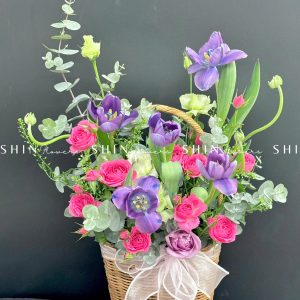 Giỏ Hoa Tulip Tím Hà Lan H086