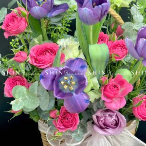 Giỏ Hoa Tulip Tím Hà Lan H086