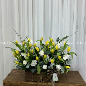 Lẵng Hoa 30 Tulip Vàng H097