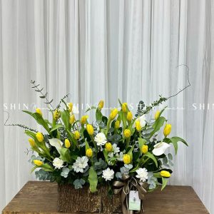 Lẵng Hoa 30 Tulip Vàng H097
