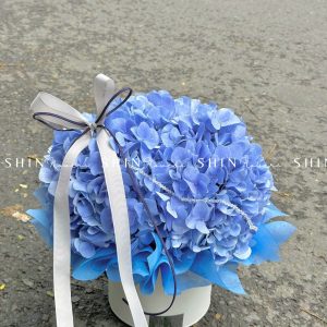 HộpHoa Cẩm Tú Cầu Xanh H081