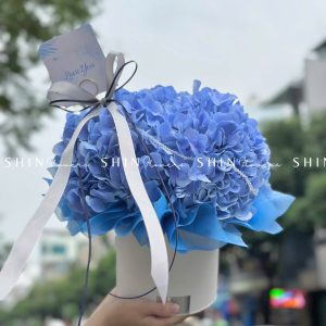 HộpHoa Cẩm Tú Cầu Xanh H081