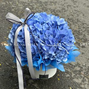 HộpHoa Cẩm Tú Cầu Xanh H081