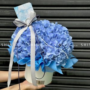 HộpHoa Cẩm Tú Cầu Xanh H081