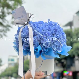 HộpHoa Cẩm Tú Cầu Xanh H081