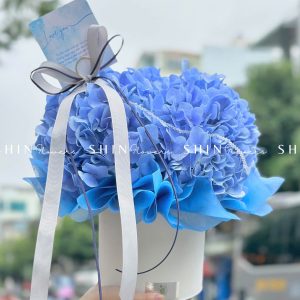 HộpHoa Cẩm Tú Cầu Xanh H081