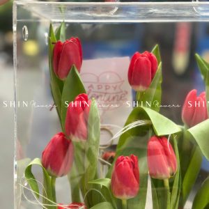 Vali Mica Tulip Đỏ - Blooming Box B021