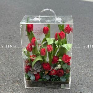 Vali Mica Tulip Đỏ - Blooming Box B021