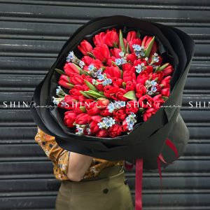 Bó Hoa 60 Tulip Đỏ S344