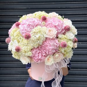 Hộp hoa Cẩm Tú Cầu Hồng mix Trắng H106