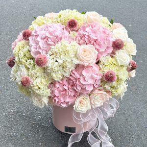 Hộp hoa Cẩm Tú Cầu Hồng mix Trắng H106