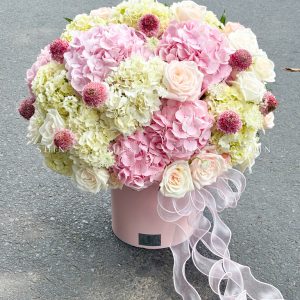 Hộp hoa Cẩm Tú Cầu Hồng mix Trắng H106