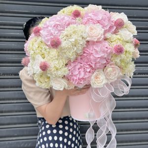 Hộp hoa Cẩm Tú Cầu Hồng mix Trắng H106