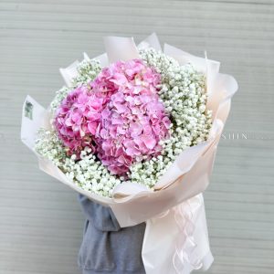 Bó Hoa Cẩm Tú Cầu Hồng S380